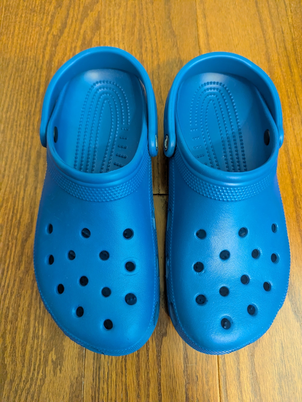 Adult Blue Crocs